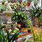 Decorated patio