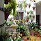 C&oacute;rdoba