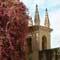 Real Alcazar at Seville